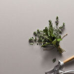 2030_Haze_portrait-350X578