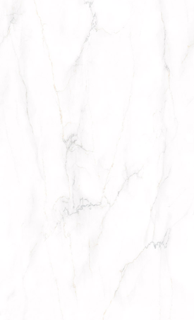501 Snowdrift