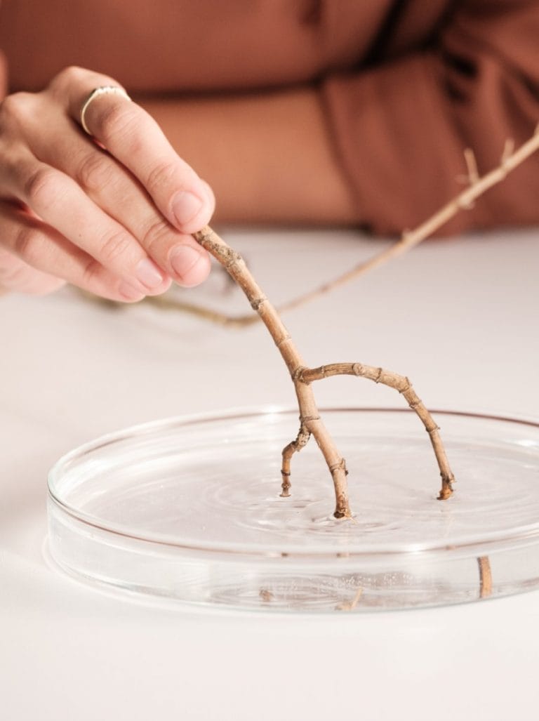 תמונת אווירה משטח שיש מינרל אבן קיסר