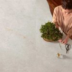 אחריות לכל החיים